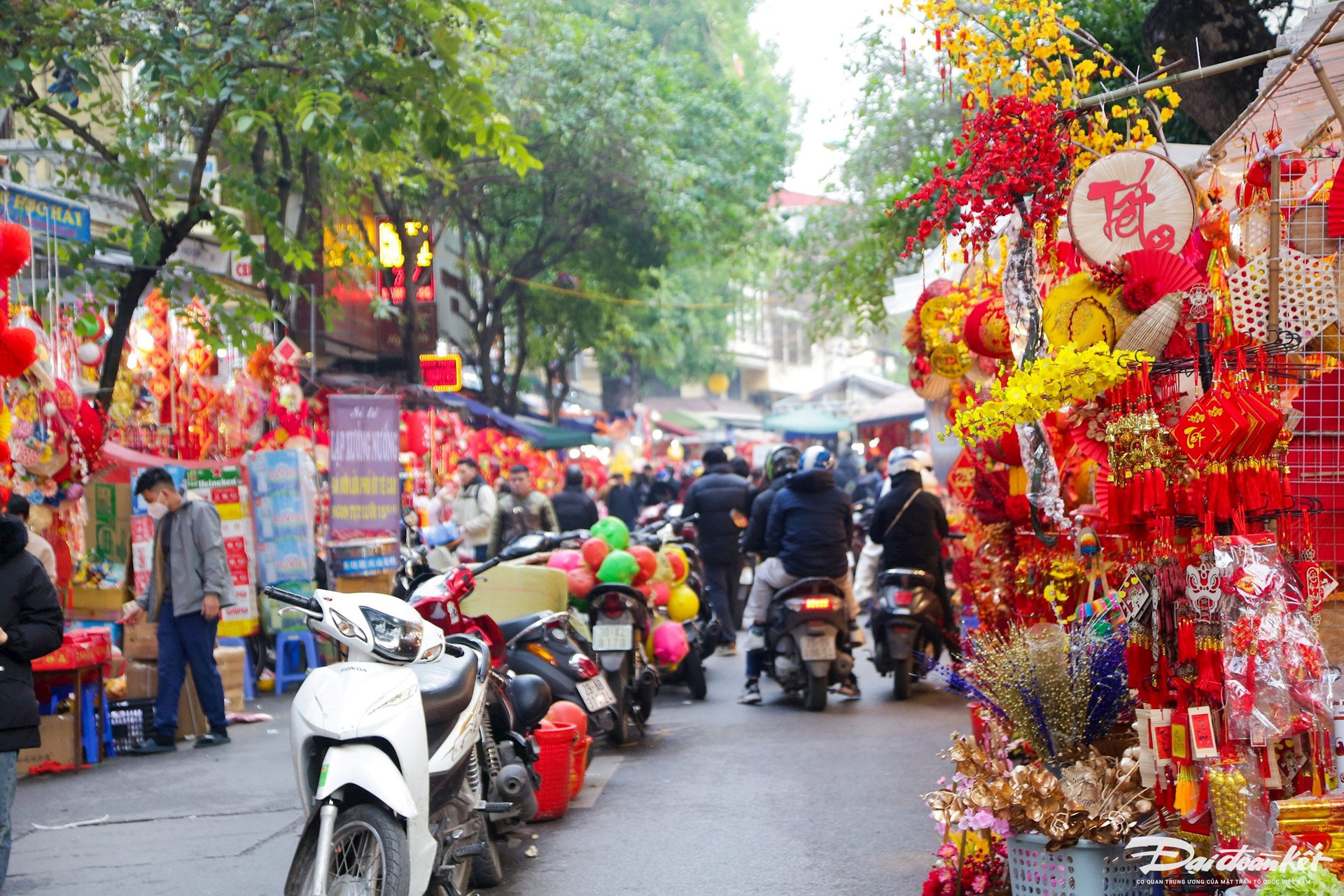 Hà Nội: Chợ hoa Xuân phố Hàng Lược rực rỡ dịp cận Tết